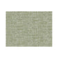 Sample PSW1038RL Tropics, Texture Green Peel and Stick Wallpaper