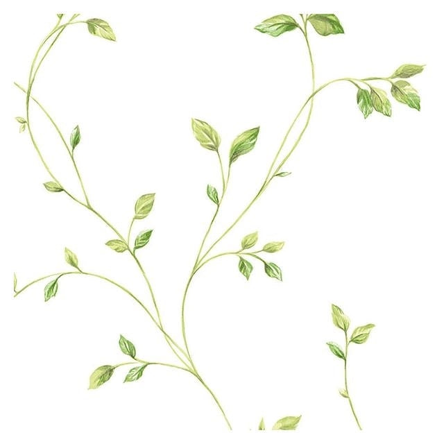 Buy KC28550 Fresh Kitchen 5 Green Floral Wallpaper by Norwall Wallpaper