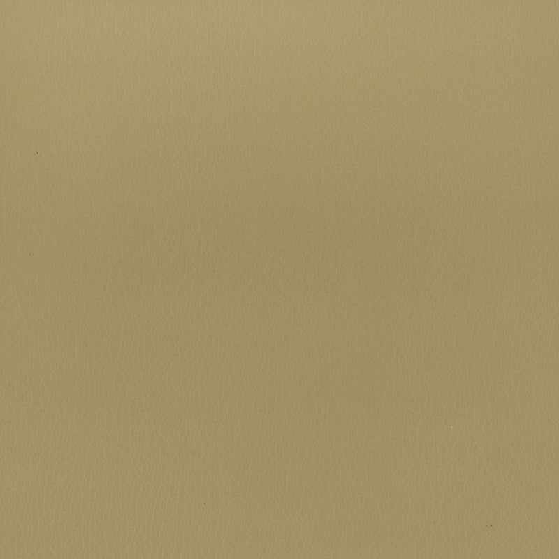Sample REIM-6 Khaki by Stout Fabric
