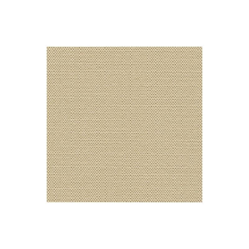 514873 | Halisi Blackout | Ivory - Robert Allen Contract Fabric