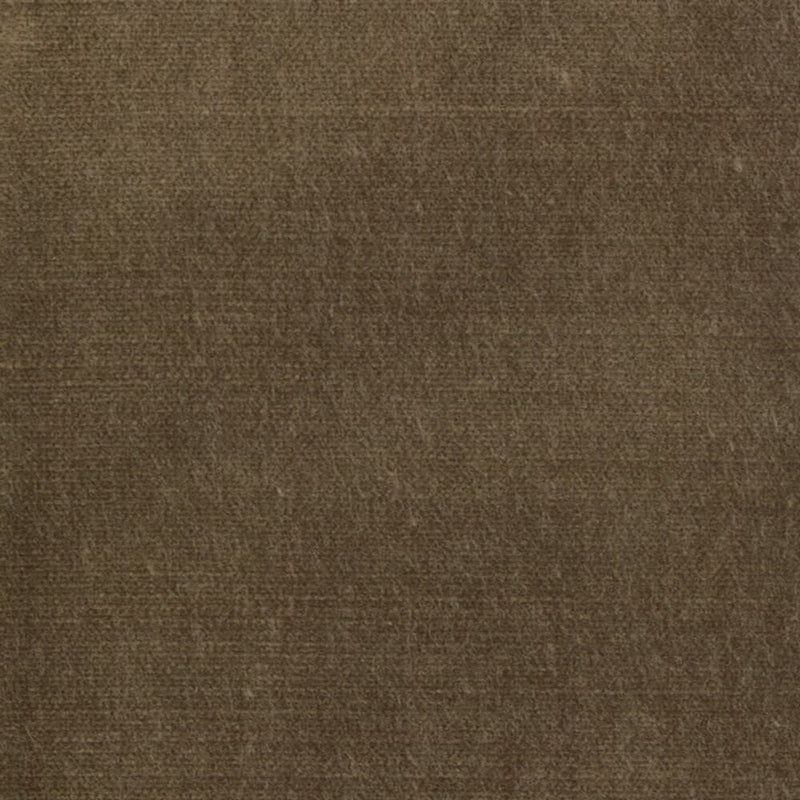 Purchase BELG-12 Belgium 12 Cappuccino by Stout Fabric