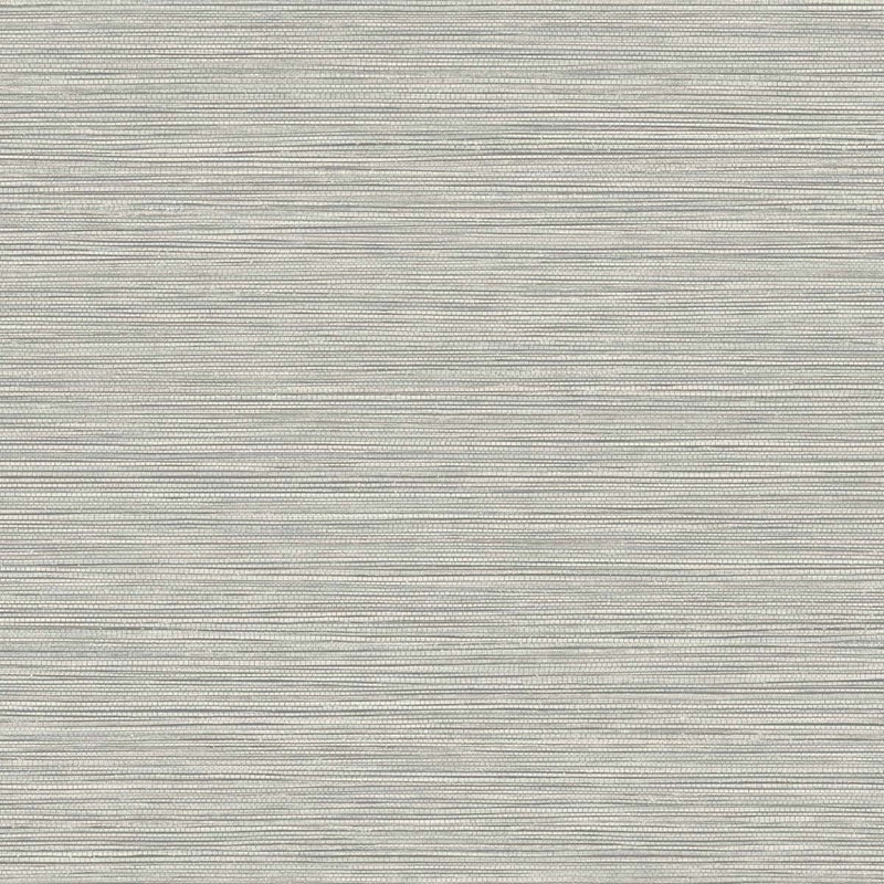 Sample BV30108 Texture Gallery, Grasslands Cove Gray Seabrook Wallpaper