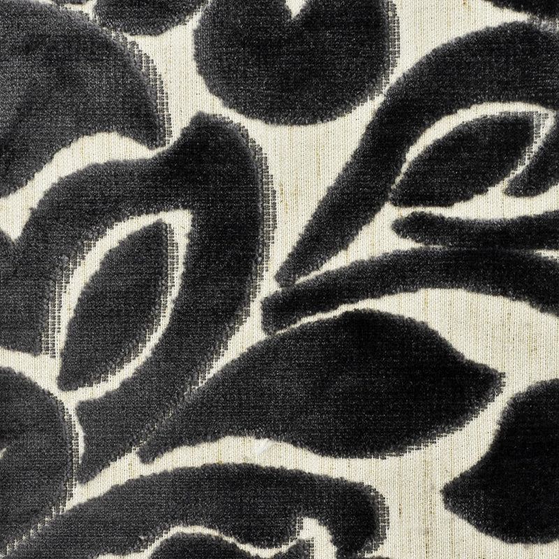 Select FENN-1 Fennel 1 Charcoal by Stout Fabric