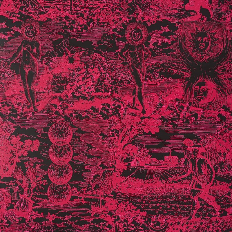 Purchase 178623 Modern Toile Pink Black Schumacher Fabric