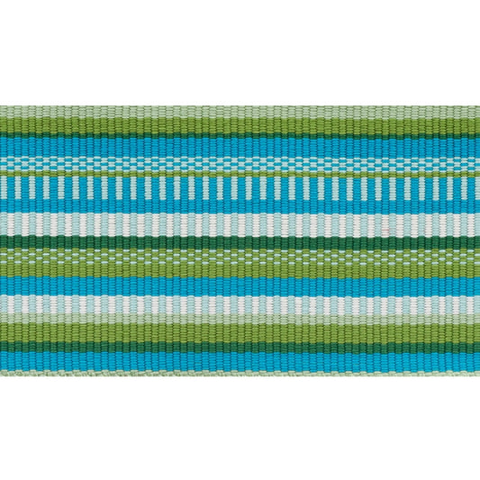 75990 | Primavera Tape Wide, Meadow - Schumacher Fabric