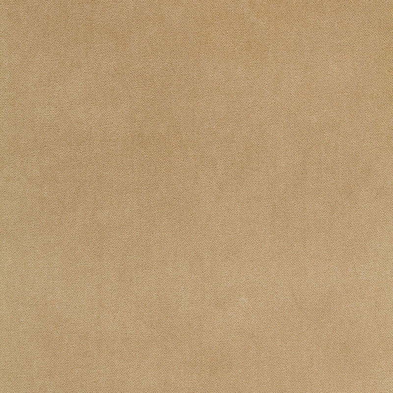 Purchase sample of 65311 Bayeux Velvet, Putty by Schumacher Fabric