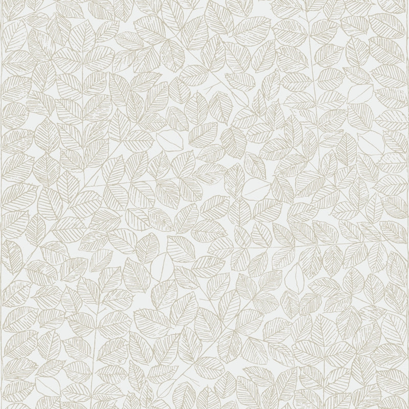 Sample 1767 Romans, Sand By Borastapeter Wallpaper