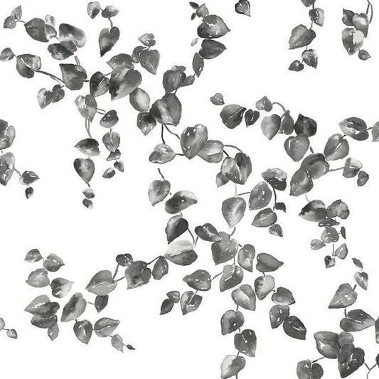 Buy FH4038 Simply Farmhouse Creeping Fig Vine Black/White York Wallpaper