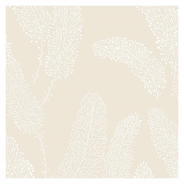 Save PA34250 Paradise Neutral Floral Wallpaper by Norwall Wallpaper