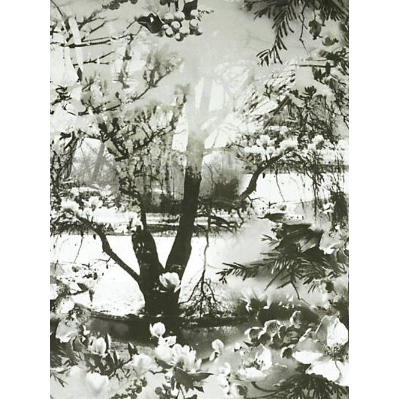 Sample WH000013307 Brume, Ecru/Noir by Jean Paul Gaultier Wallpaper