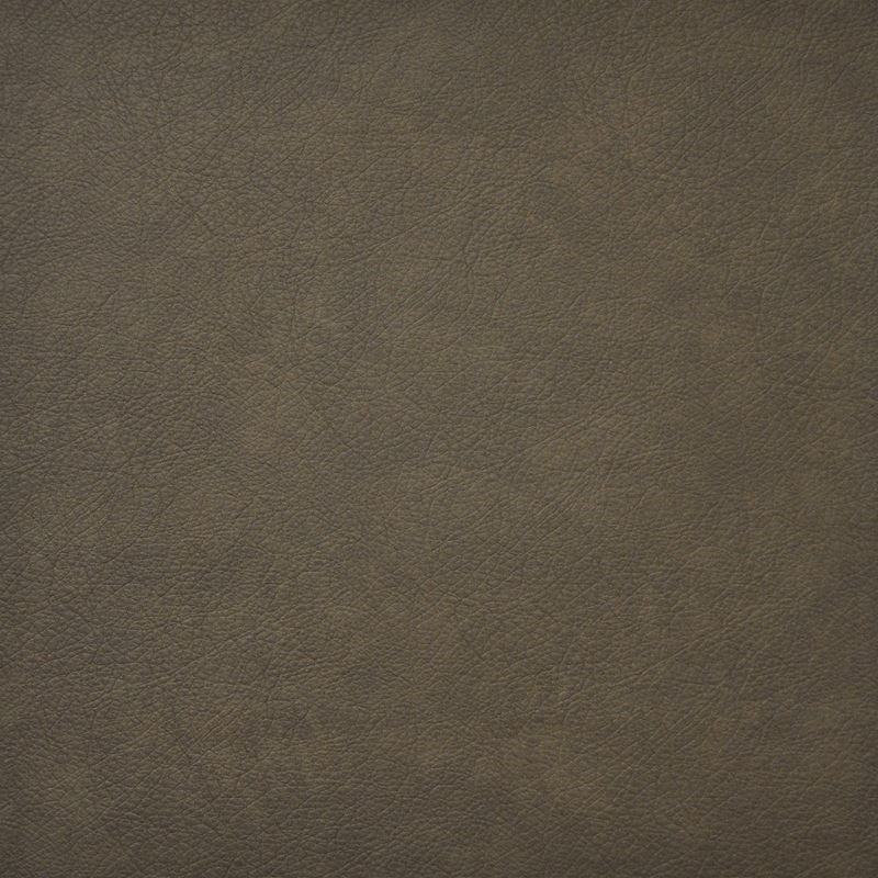 HG6740 | Hidalgo Coyote by Maxwell Fabric