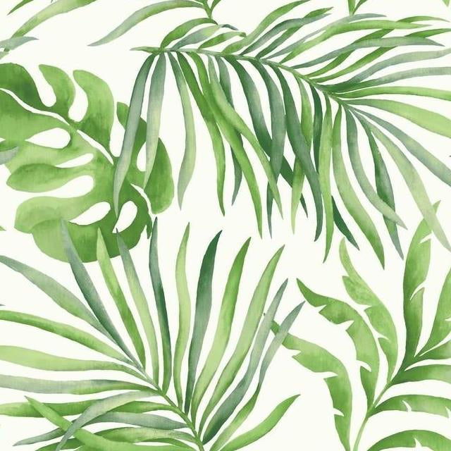 View SO2450 Tranquil Paradise Palm color Green Trellis by Candice Olson Wallpaper