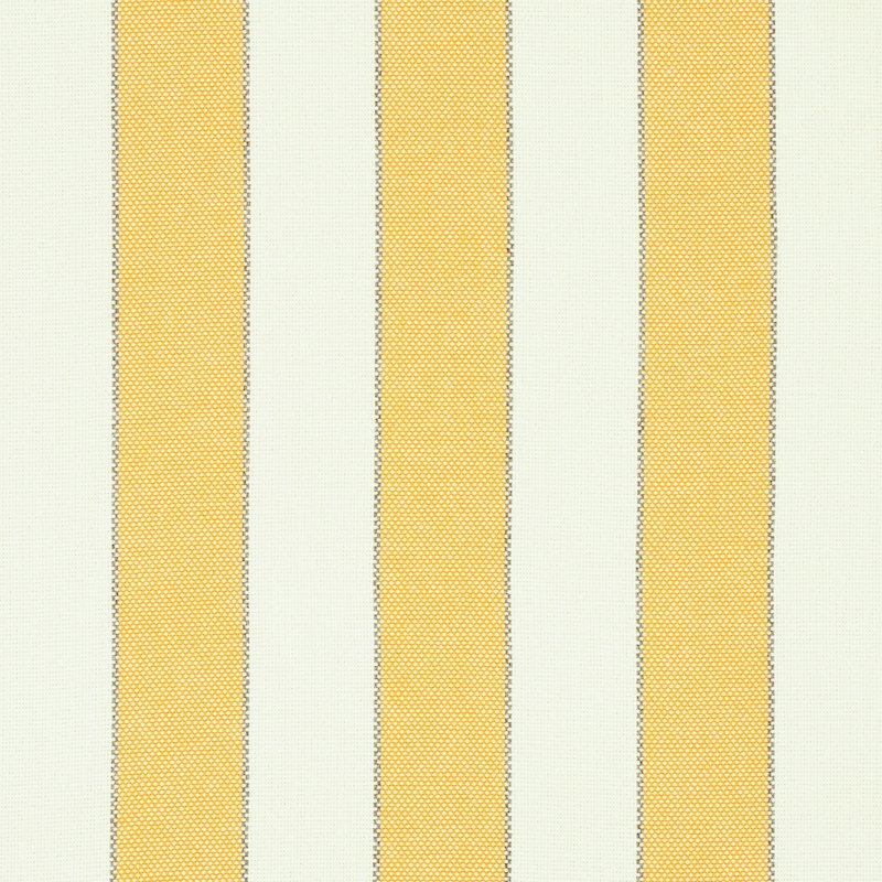 Purchase sample of 79052 Blumont Stripe Indoor/Outdoor, Yellow by Schumacher Fabric