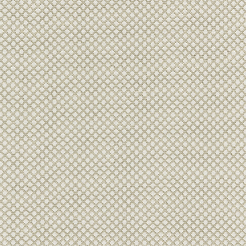 Sample Bk 0001K65121 Bellaire Trellis, Flax By Boris Kroll Fabric