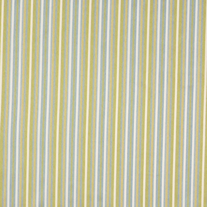 149818 | Sweet Stripes Botanical - Robert Allen