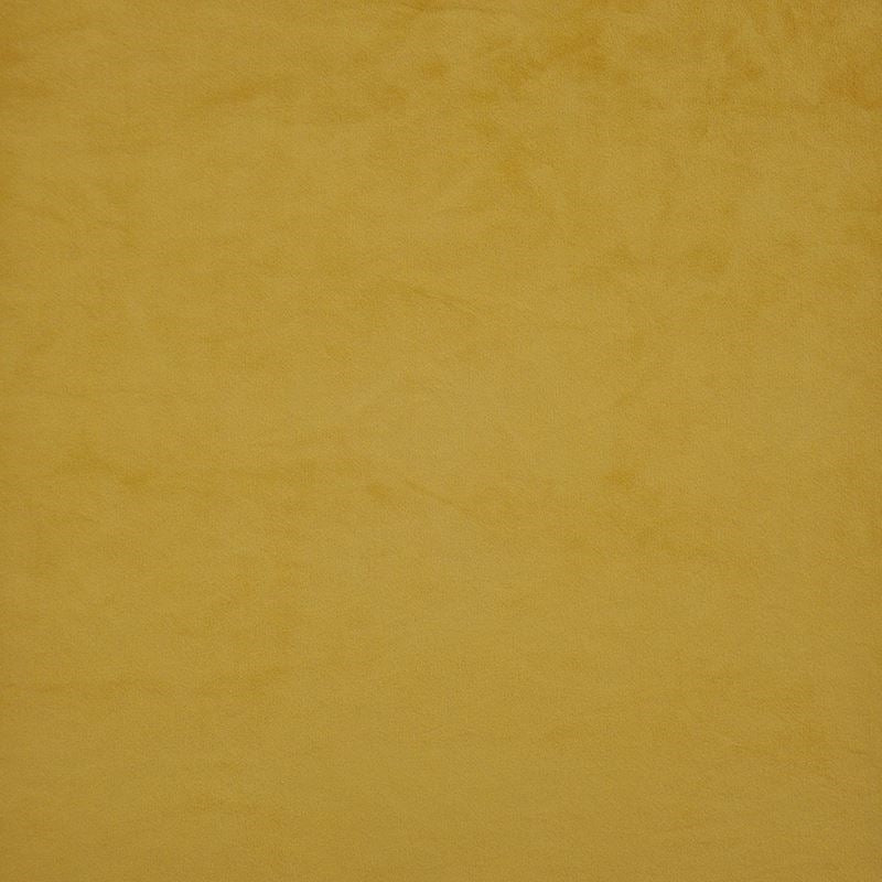 FL7535 | Firenze Honey Bee by Maxwell Fabric