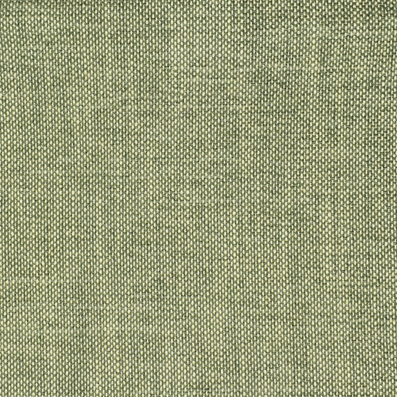 View S2354 Eucalyptus Green Texture Greenhouse Fabric