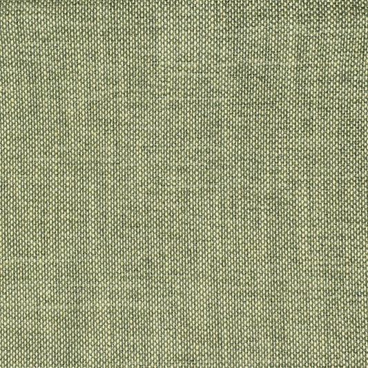 View S2354 Eucalyptus Green Texture Greenhouse Fabric