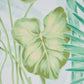 View 5013270 Big Tropical Panel Set Green Schumacher Wallcovering Wallpaper