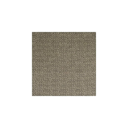 Search F2774 Storm Gray Metallic Greenhouse Fabric