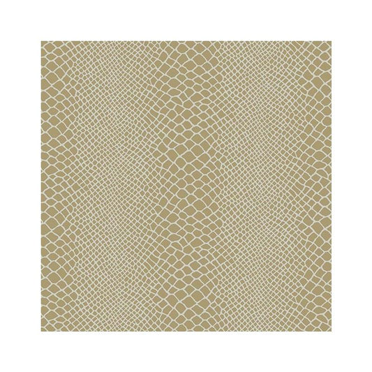 Search 6053 33W7241 Cosmopolitan JF Wallpaper