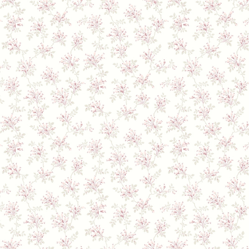 Sample 4072-70038 Delphine, Sofiane Pink Botanical Trail Wallpaper by Chesapeake