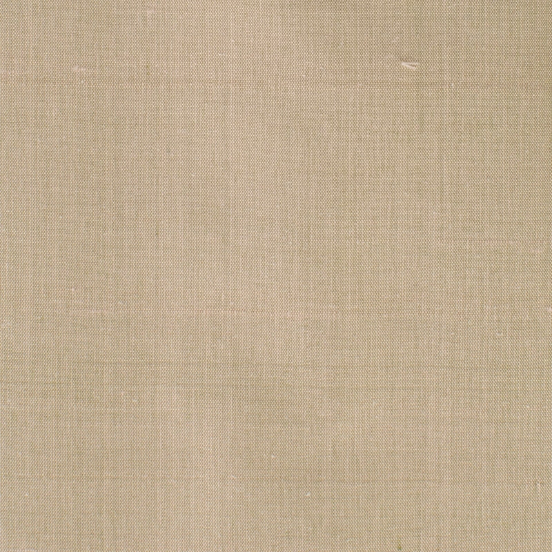 Sample Dupi-19 Dupioni 19 Twig By Stout Fabric