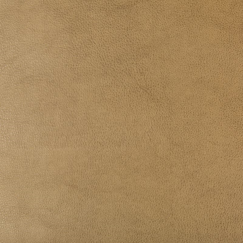Search DUST.106.0  Solids/Plain Cloth Camel by Kravet Design Fabric