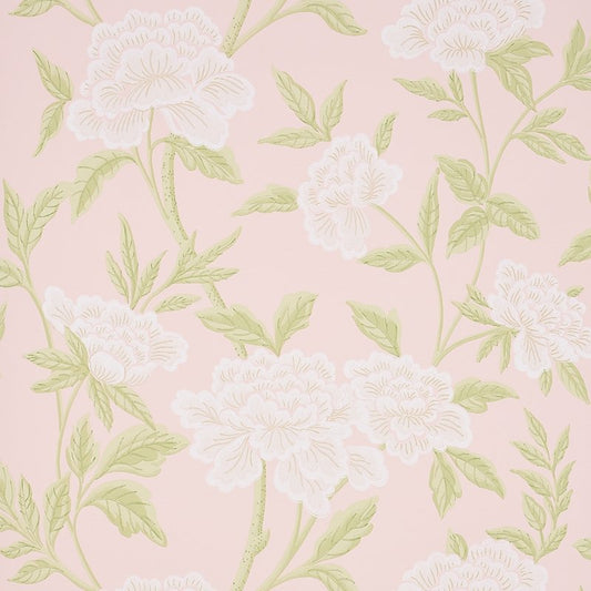 Looking for 5004386 Whitney Floral Blush Schumacher Wallcovering Wallpaper