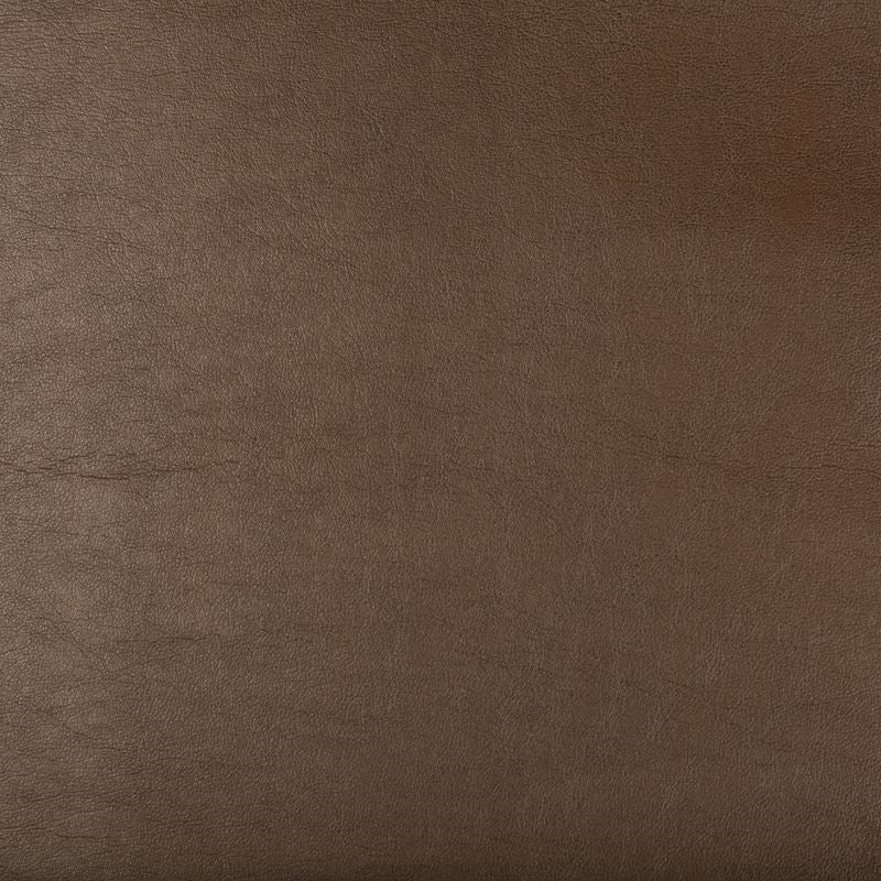 Purchase ARISTIDES.66.0  Solids/Plain Cloth Brown by Kravet Design Fabric
