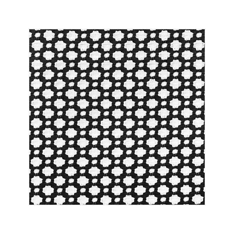 Purchase sample of 65683 Betwixt, Black / White by Schumacher Fabric