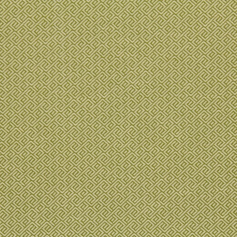 214736 | Wave Maze Lemongrass - Robert Allen