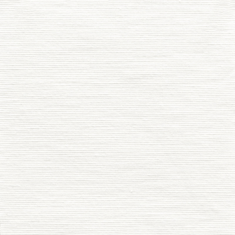 Sample CARE-1 White by Stout Fabric