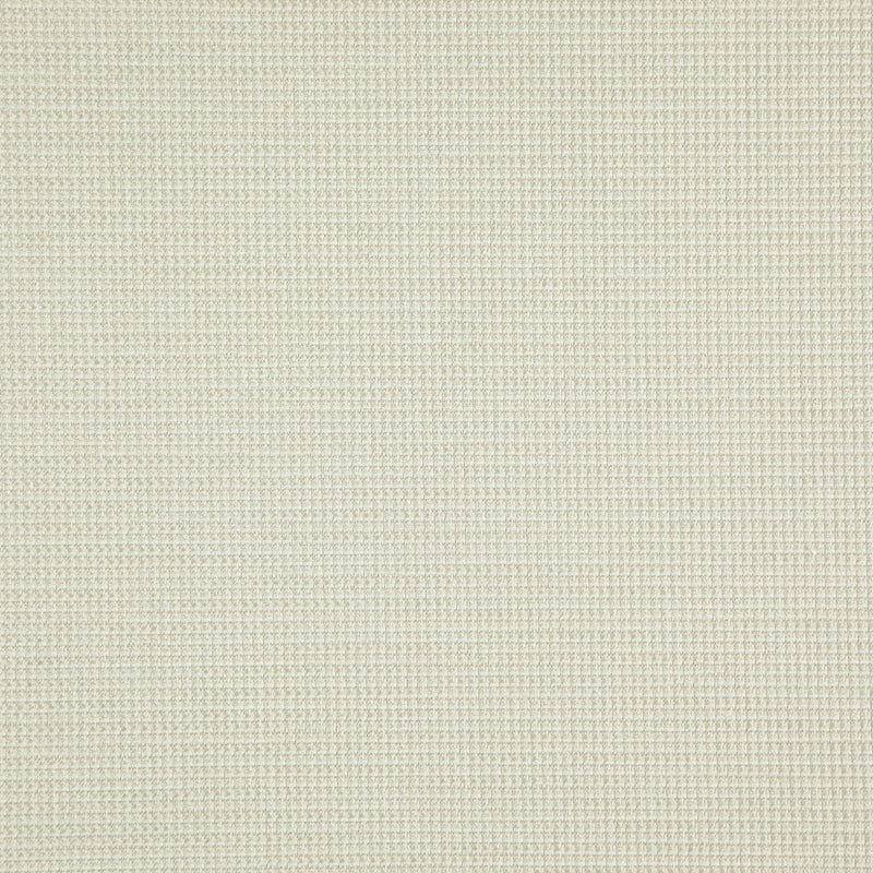 Sample SENTENCE 91J8321 by JF Fabric