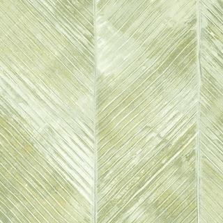 Purchase AV50508 Avant Garde by Seabrook Wallpaper