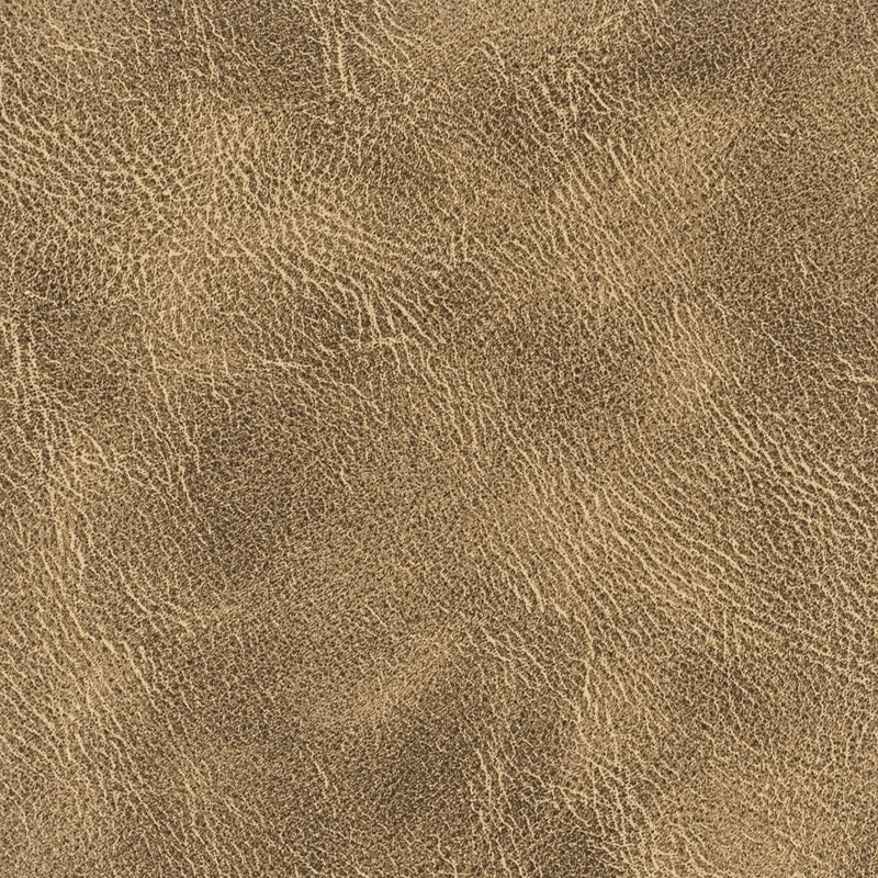 Sample Radn-2 Radnor 2 Truffle By Stout Fabric