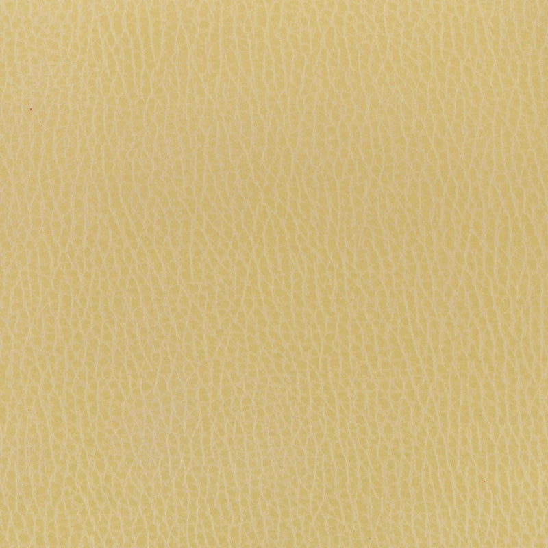 Sample MADD-7 Buff by Stout Fabric