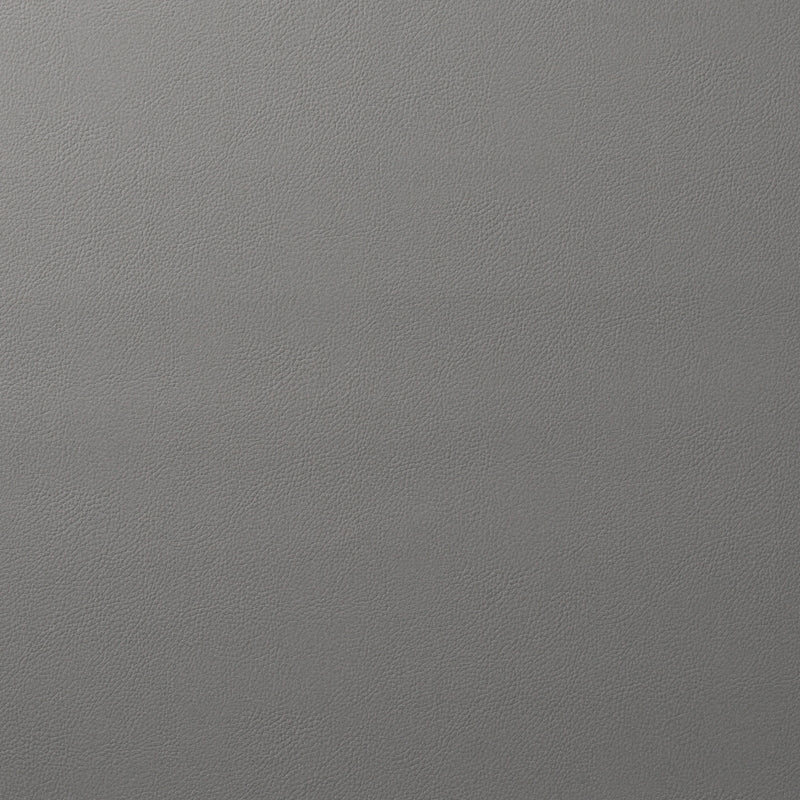 Purchase sample of 80903 Indoor/Outdoor Vegan Leather, Platinum by Schumacher Fabric