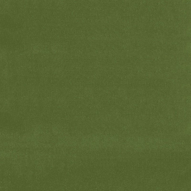 Purchase sample of 42869 Gainsborough Velvet, Fern by Schumacher Fabric