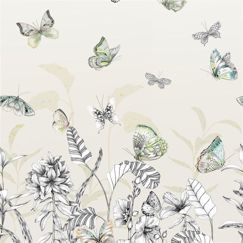Looking PDG1058/01 Papillons Birch by Designer Guild Wallpaper