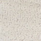 Sample Colw-2 Colwin 2 Bone By Stout Fabric