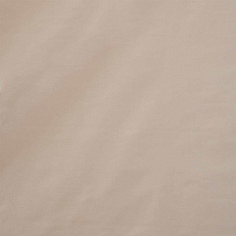 Purchase sample of 76981 Cecil Cotton Chintz, Ecru by Schumacher Fabric