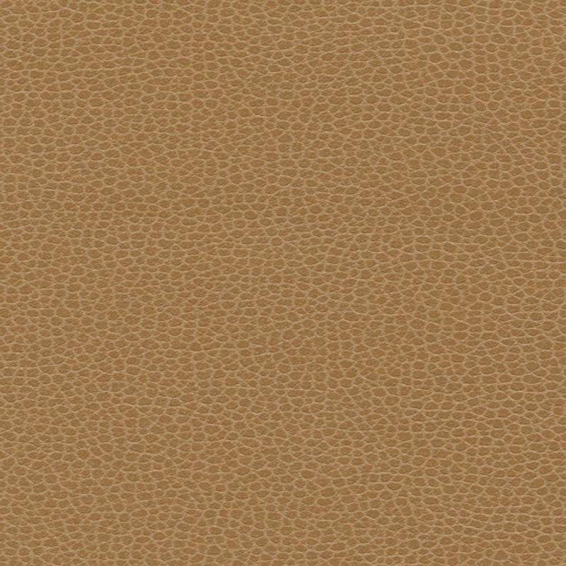 Purchase sample of 363-3142 Promessa, Camel by Schumacher Fabric