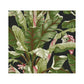 Sample AT7071 Tropics Resource Library, Banana Leaf Black/Green York Wallpaper