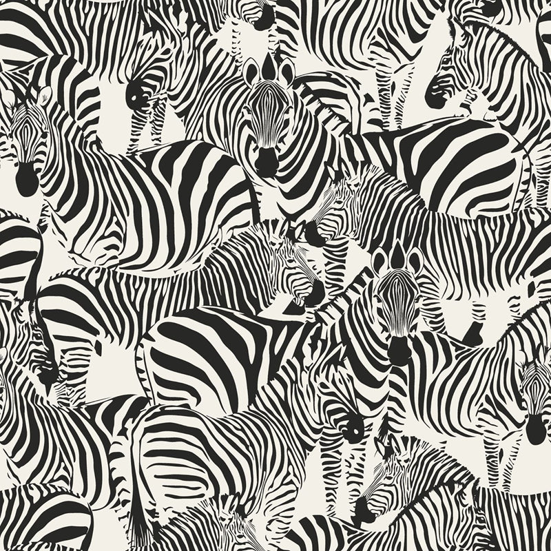 Sample DD347453 Design Department, Jemima Black Zebra Wallpaper by Brewster