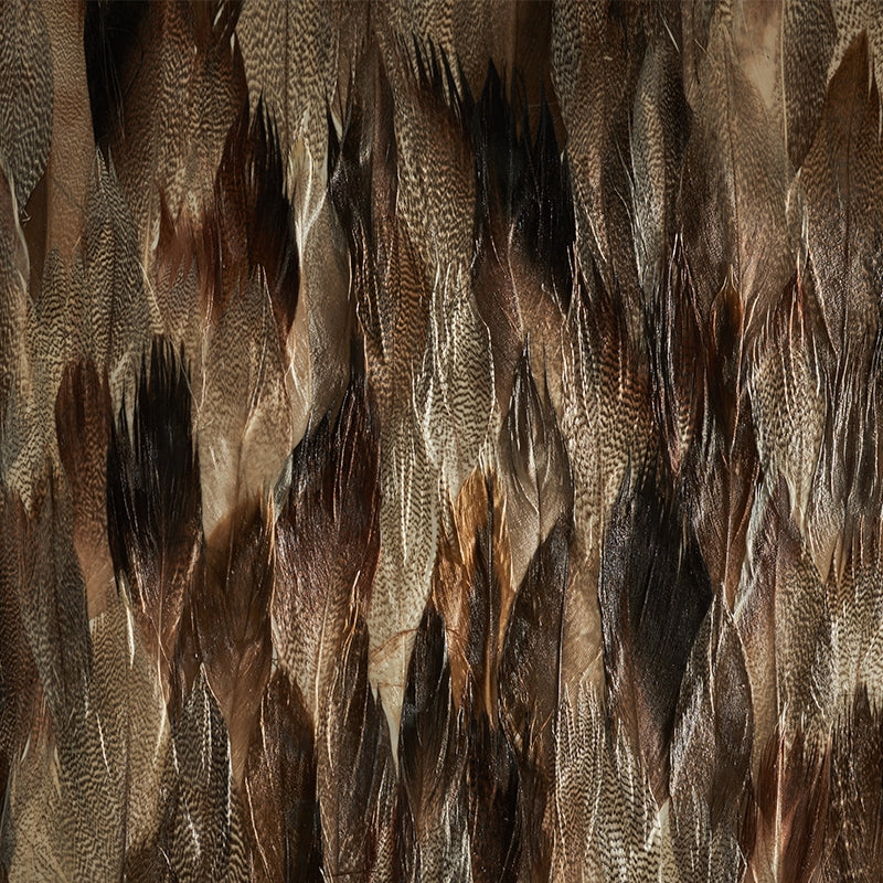 Acquire 5008406 Iridium Tail Schumacher Wallpaper