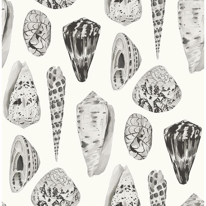 Sample SCS3882 Scalamandre, Graphite Coquina Scalamandre Self Adhesive Wallpaper by NuWallpaper