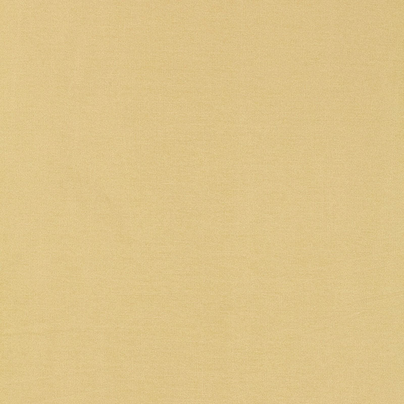 Purchase sample of 63843 Tiepolo Shantung Weave, Champagne by Schumacher Fabric