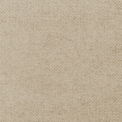 Find ED85251-170 Cami Champagne by Threads Fabric