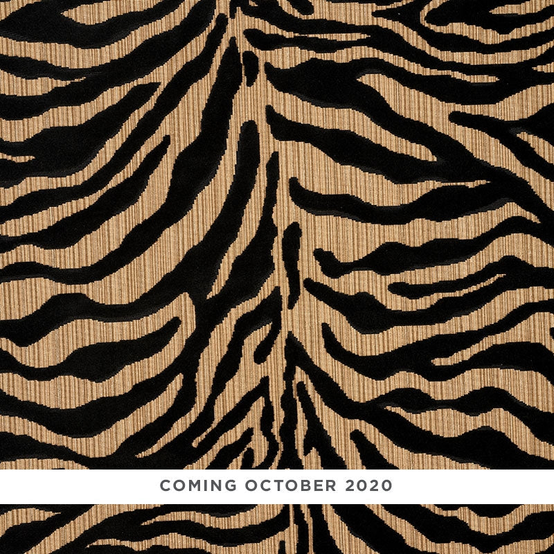 Purchase sample of 77771 Regine Strie Velvet, Ebony by Schumacher Fabric
